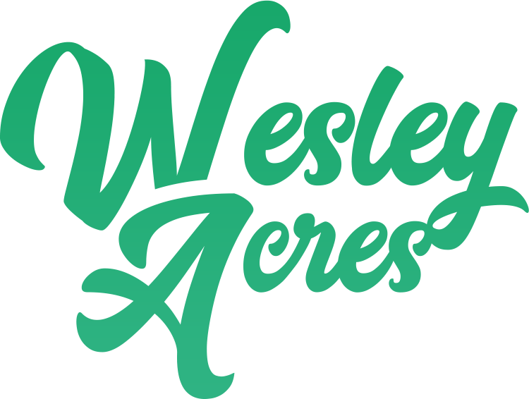 wai-logo-white light green